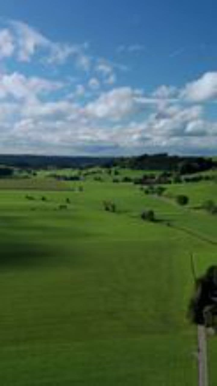 Россия моя, красавица!