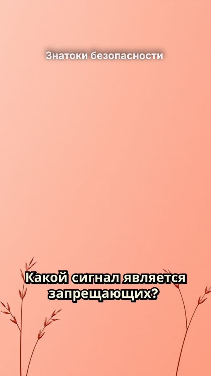 Знатоки безопасности 