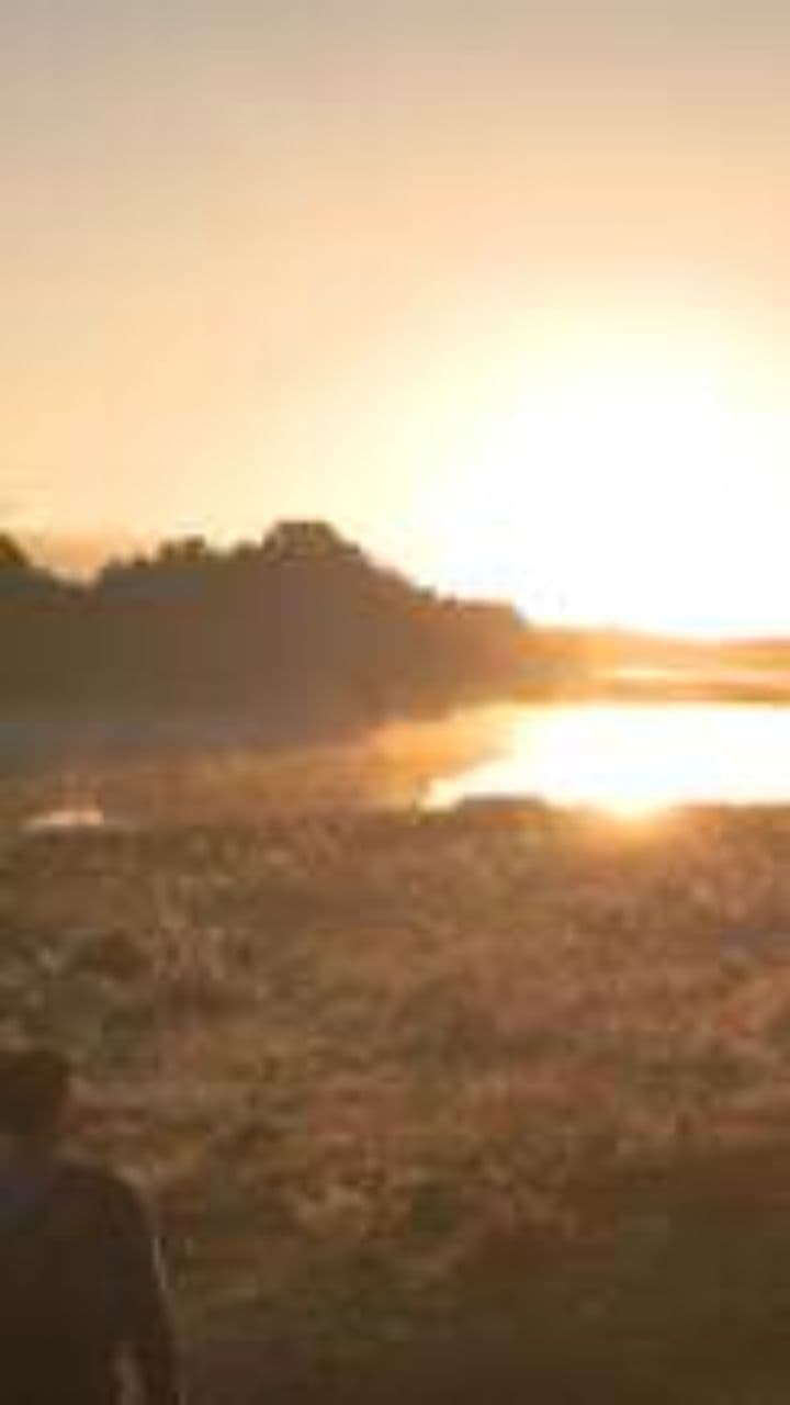 Glitch in the System