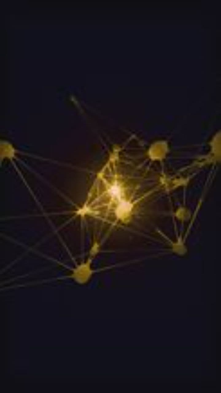 FMHY: The Ultimate Free Resource Hub