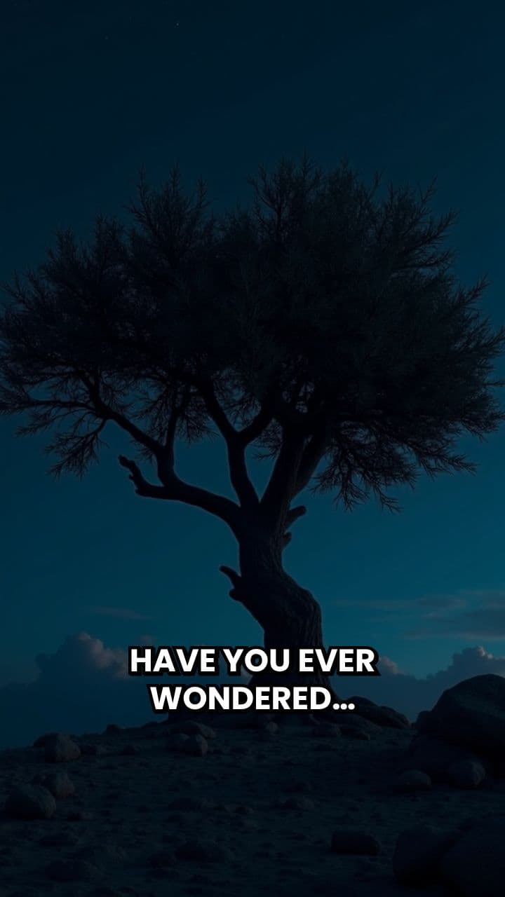 Beside Him in Darkness