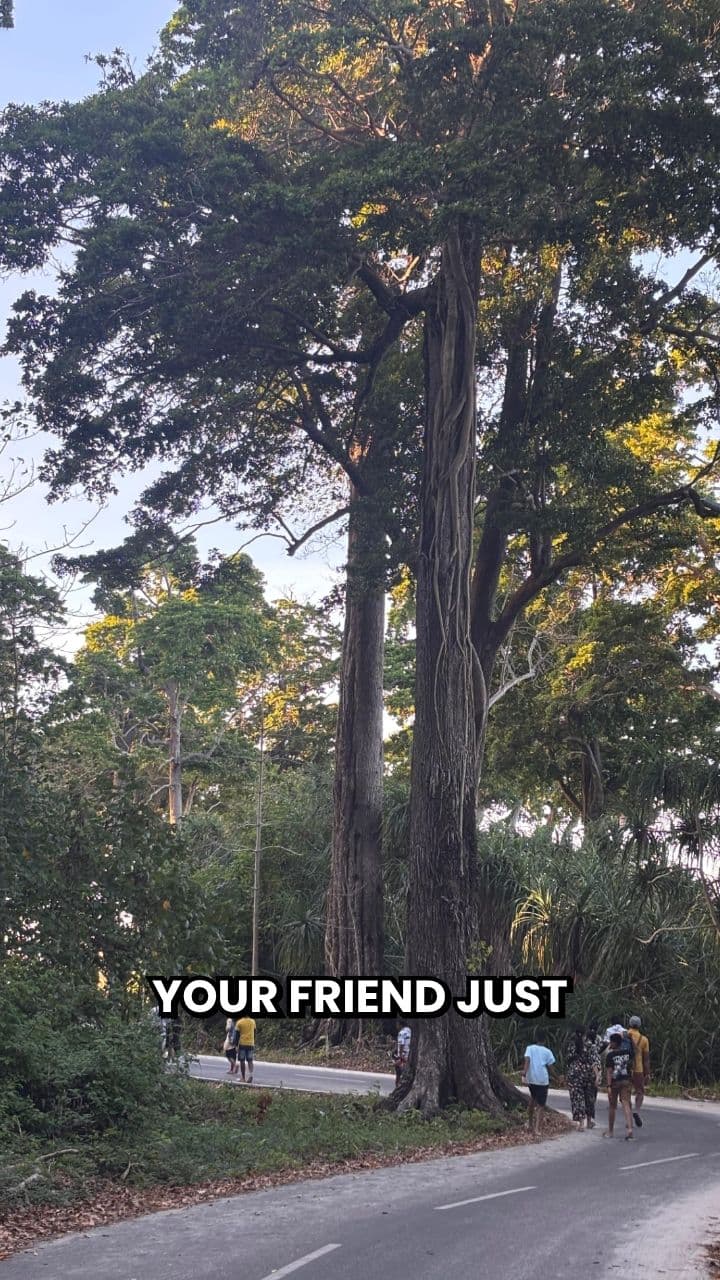 Andaman: Proof of Real Living