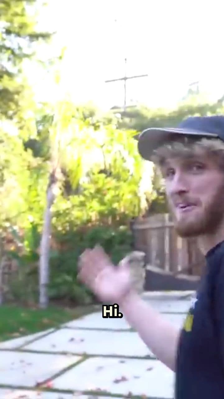 Strictly Research Purposes