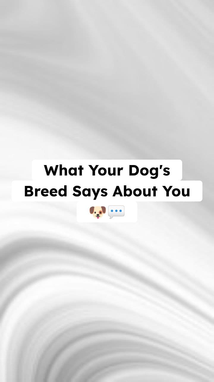 What Your Dog's Breed Says About You 🐶💬