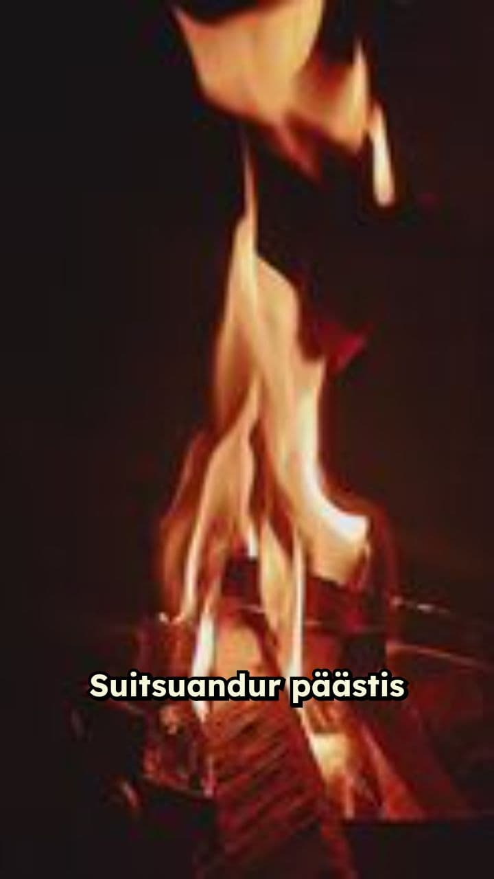 Suitsuandur päästis maja hävingust