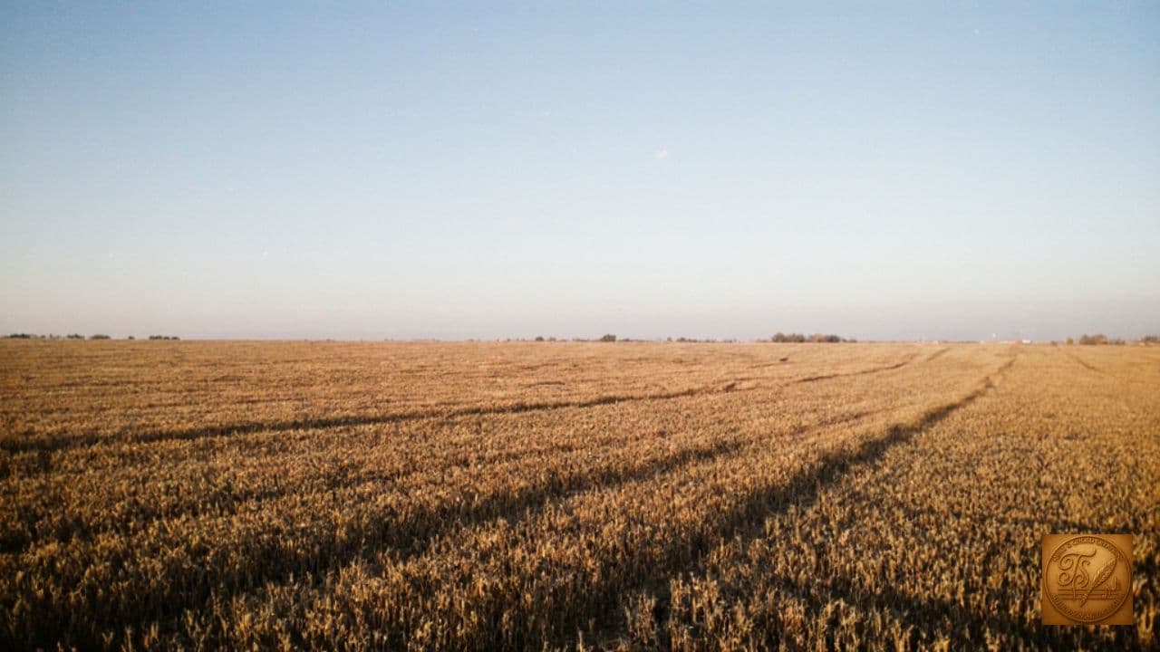 A Legacy of Faith and Freedom