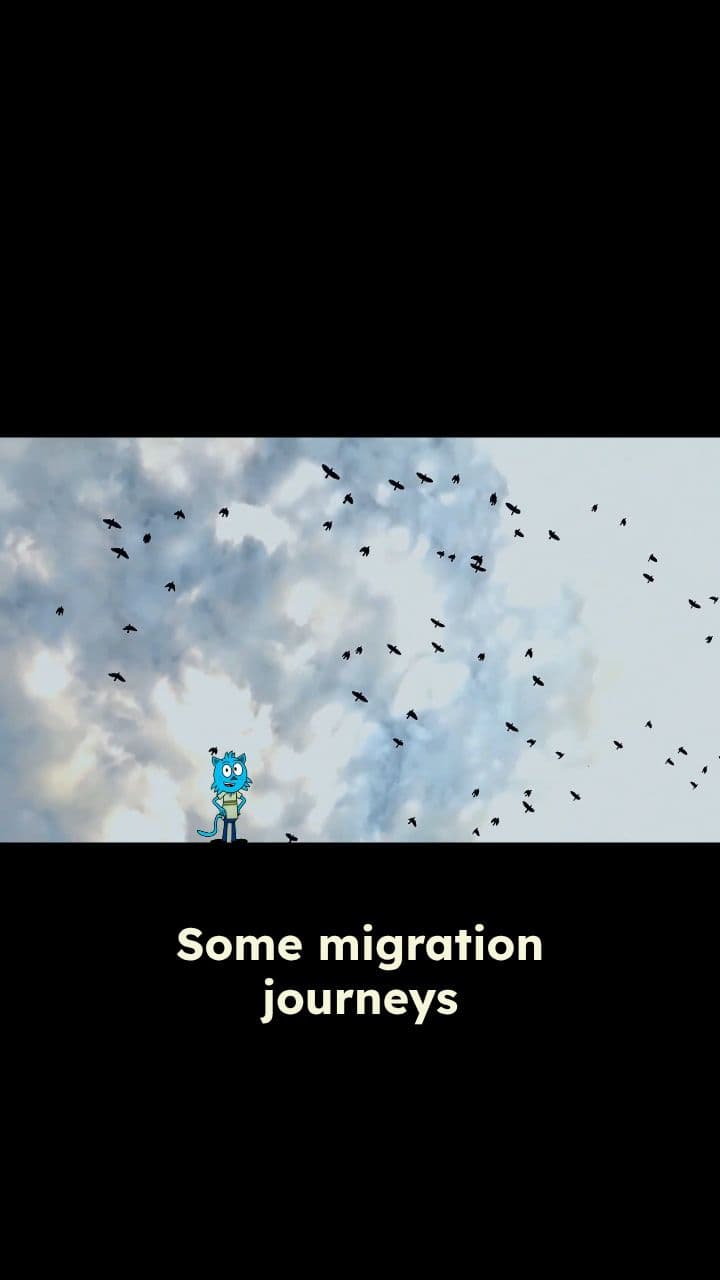 Nature's Champion Travelers