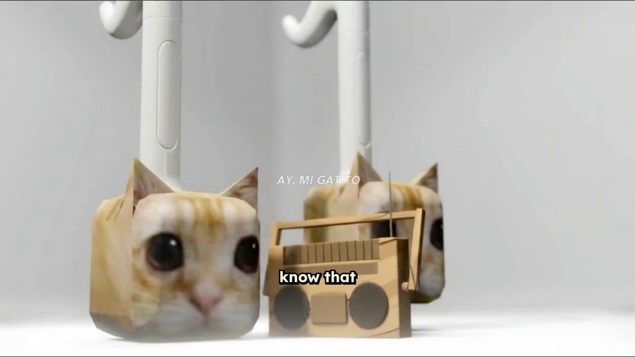 Interesting Highlight 1