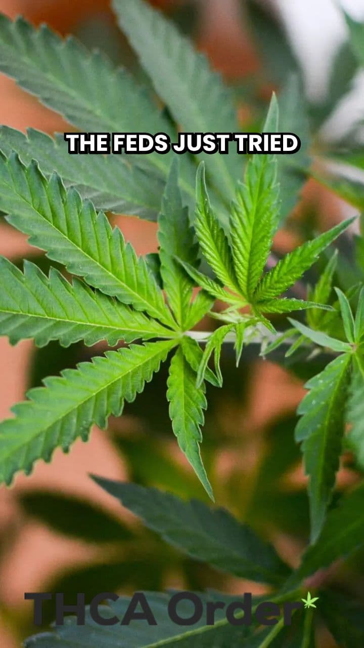 Hemp Product Ban Sparks Controversy