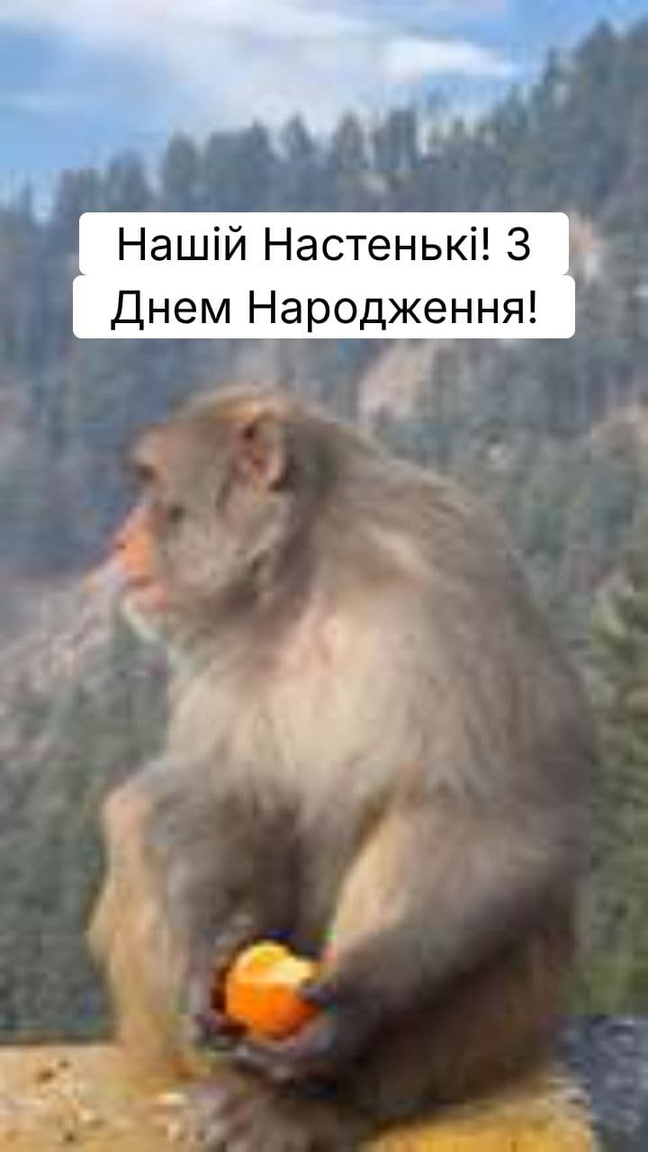 Birthday Message for Nastenka