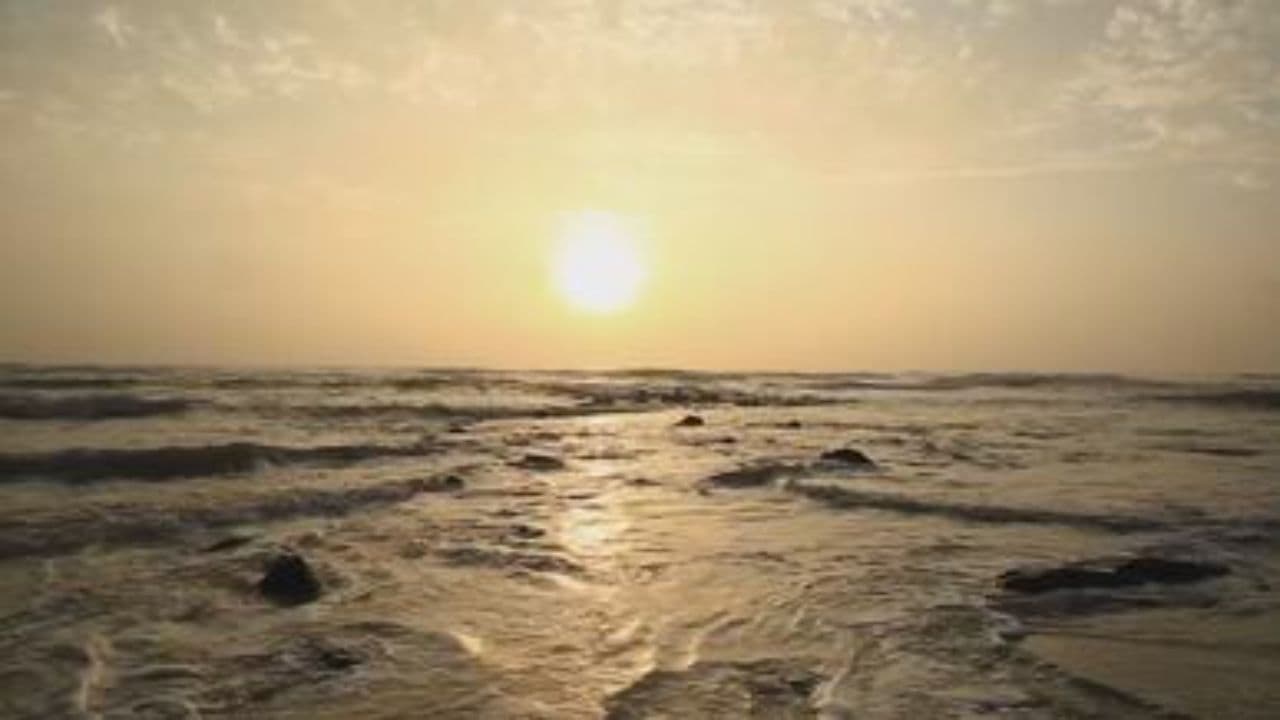 同行有你 风雨同路