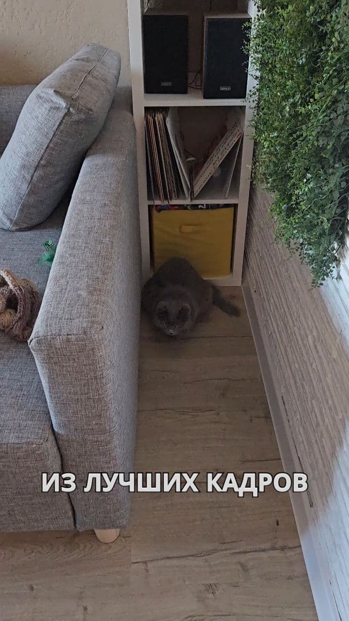 Клип из лучших кадров