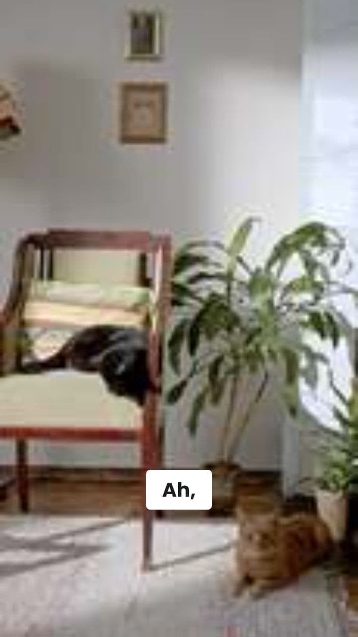 Gatto in Boss Battle