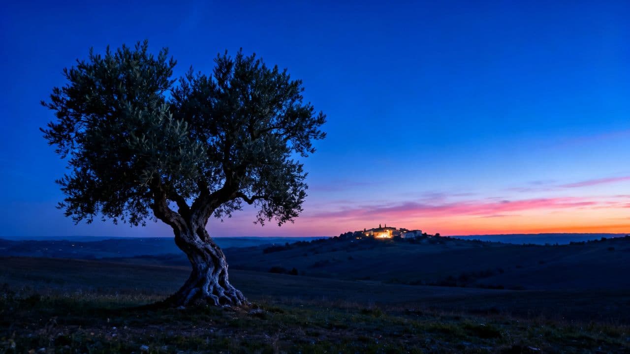 Wondrous Splendor in Bethlehem