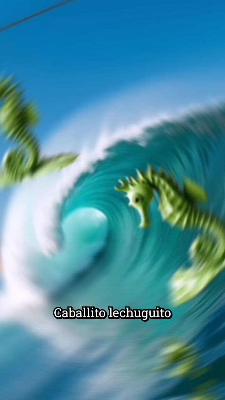 Caballito Surfero y la Ola de Lechuga