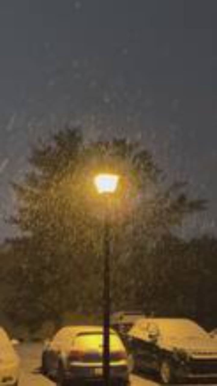 Christmas Under Winter Light