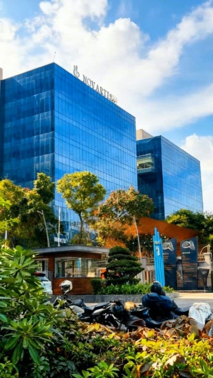 Image transform video