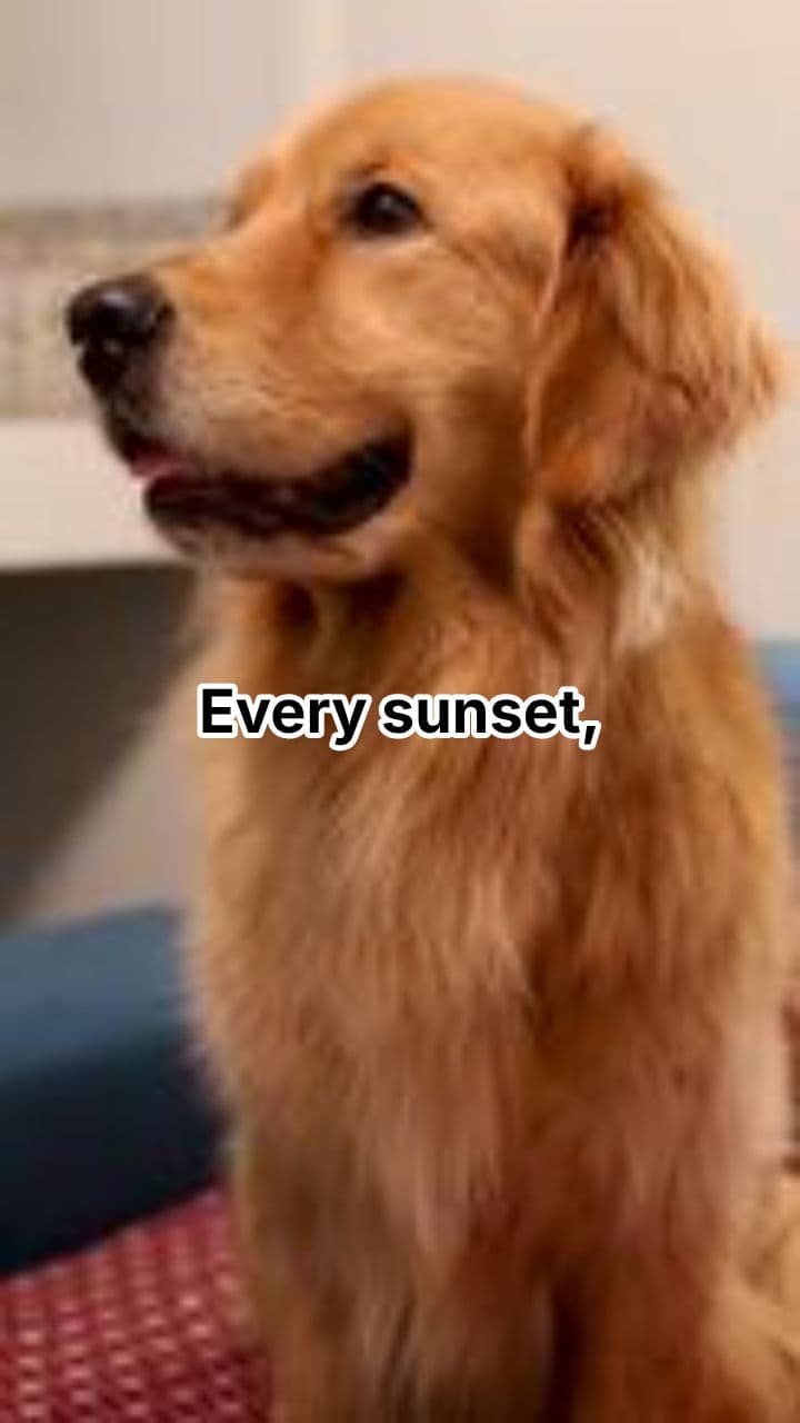 Waiting at the Wooden Door