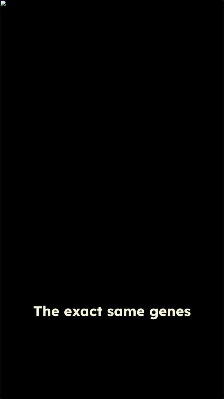 Genes: Builders and Killers of Life