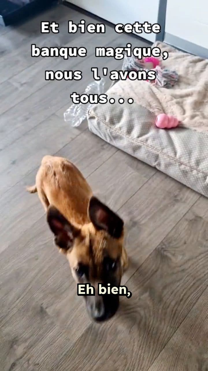 La Banque Magique du Temps