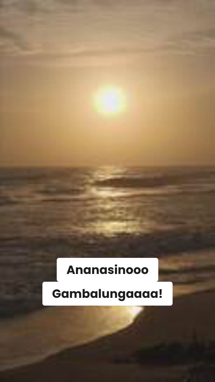 Ananasino Gambalunga: Caos Tropicale