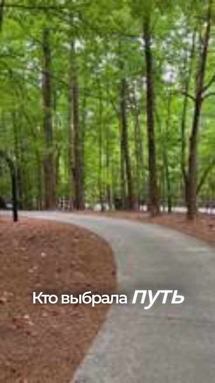 Живи громко и честно