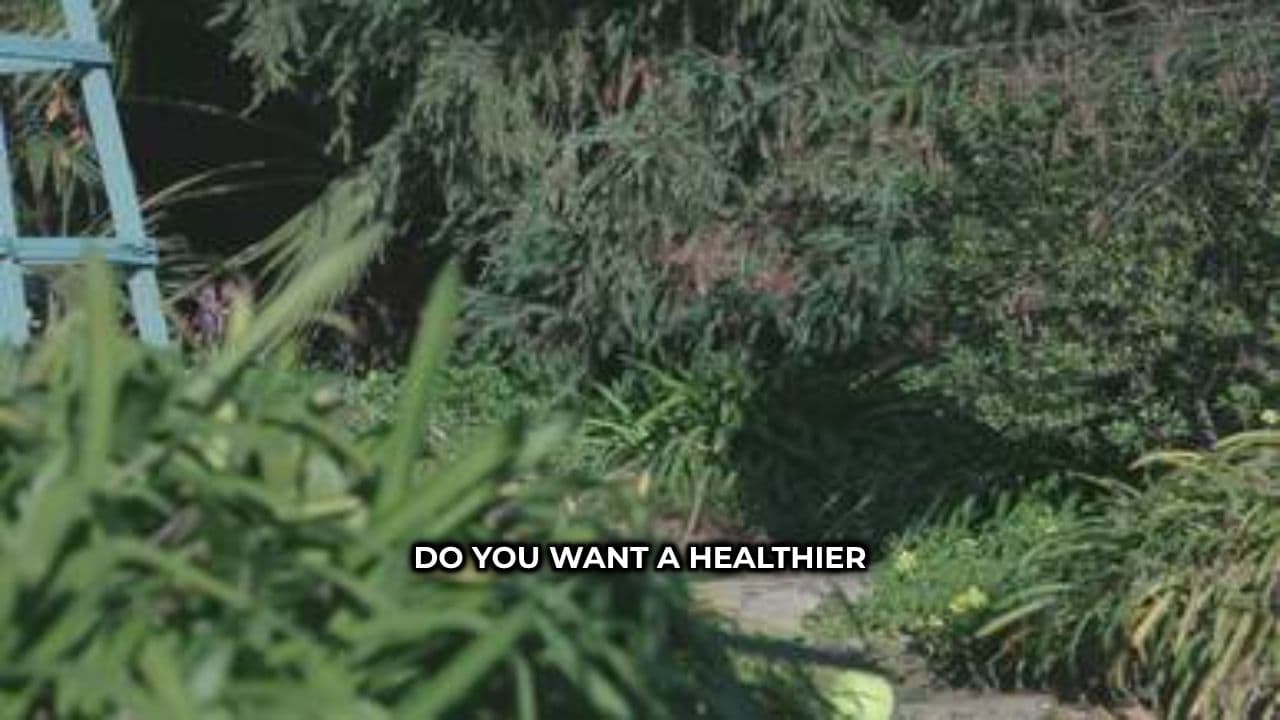 Unlock Your Dog's Health with Omega Oil