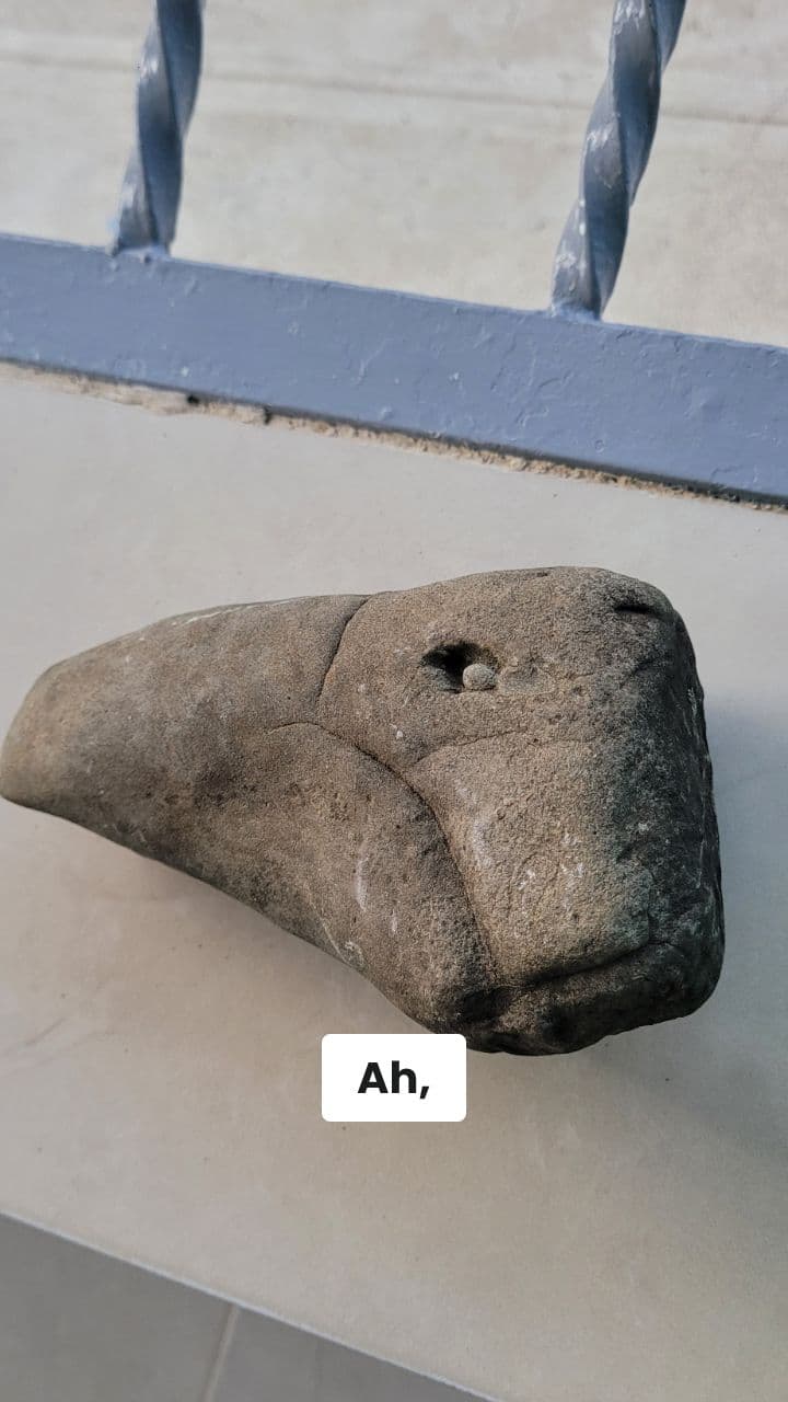 Sushini Dragonini: Il Caos Bruciante!