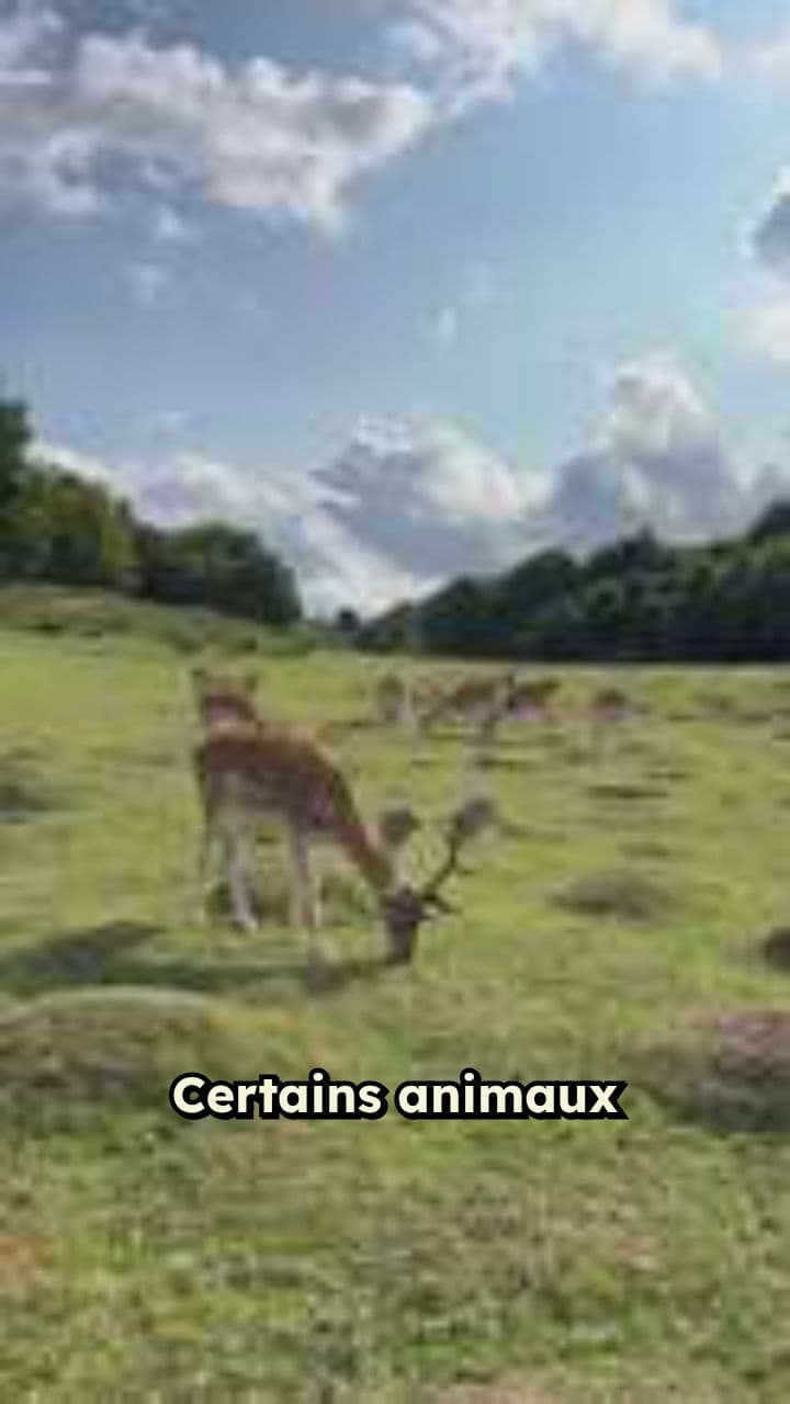 L'immortalité animale à portée de main