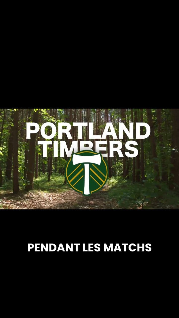 Le spectacle dans les tribunes de MLS