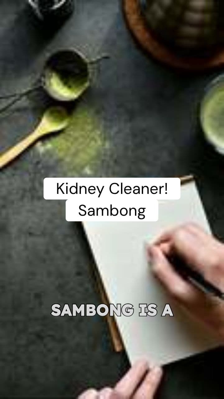 Sambong for Kidney Health