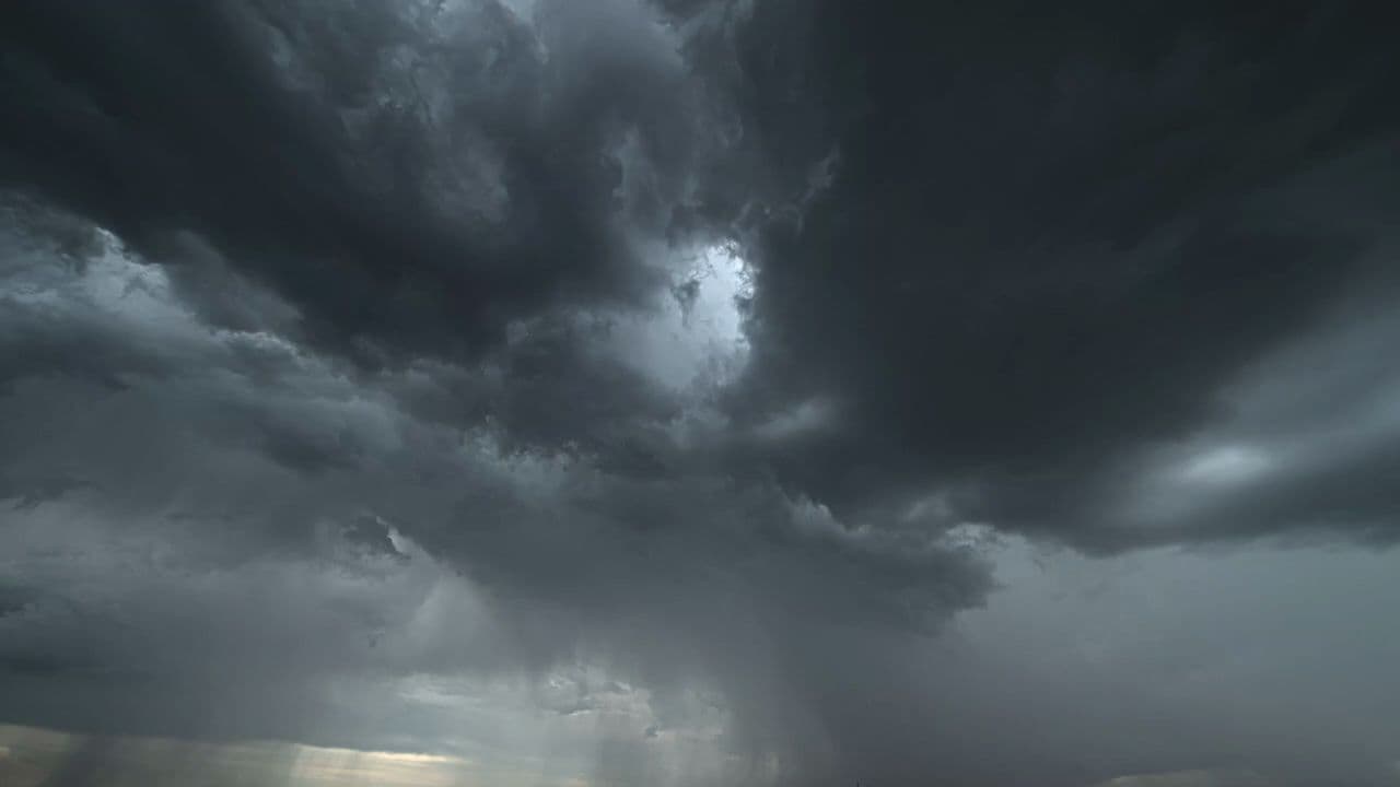 Lost but Still Standing