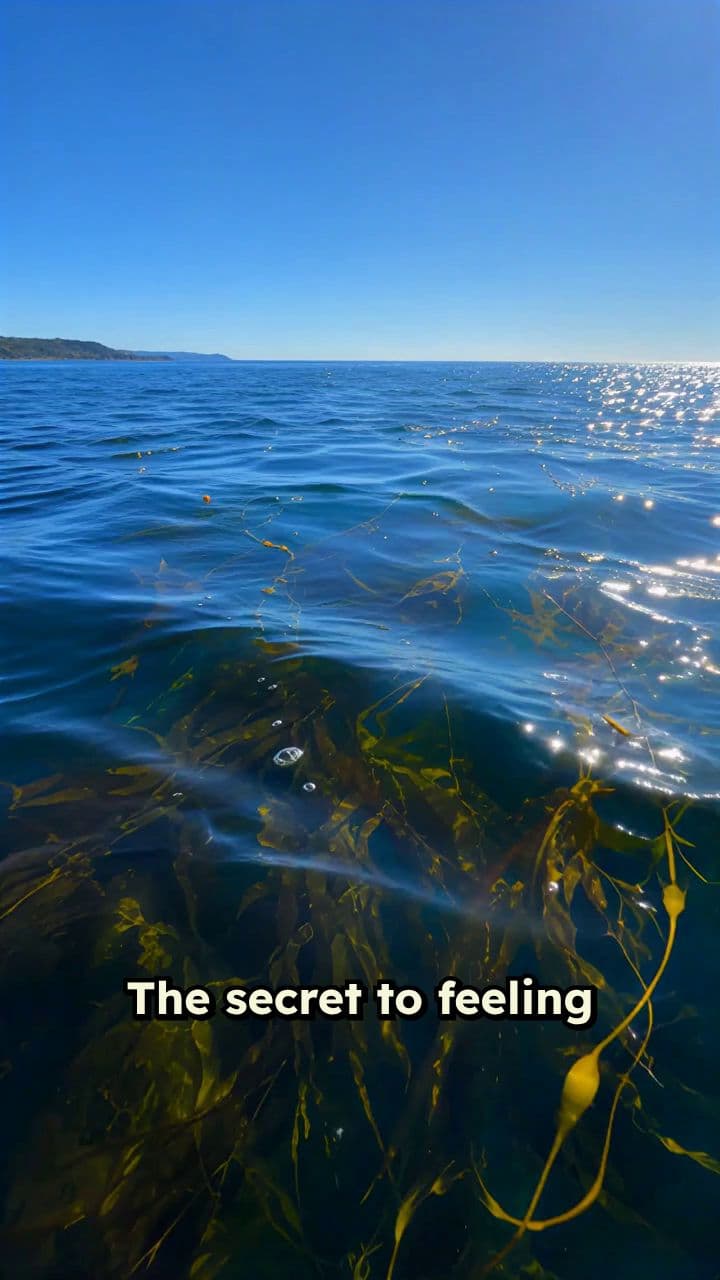 Z-Radical Daily Ocean Wellness