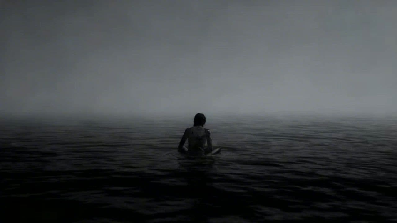 Image transform video