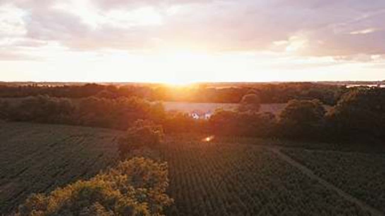 Cuidar da Água, Salvar o Futuro