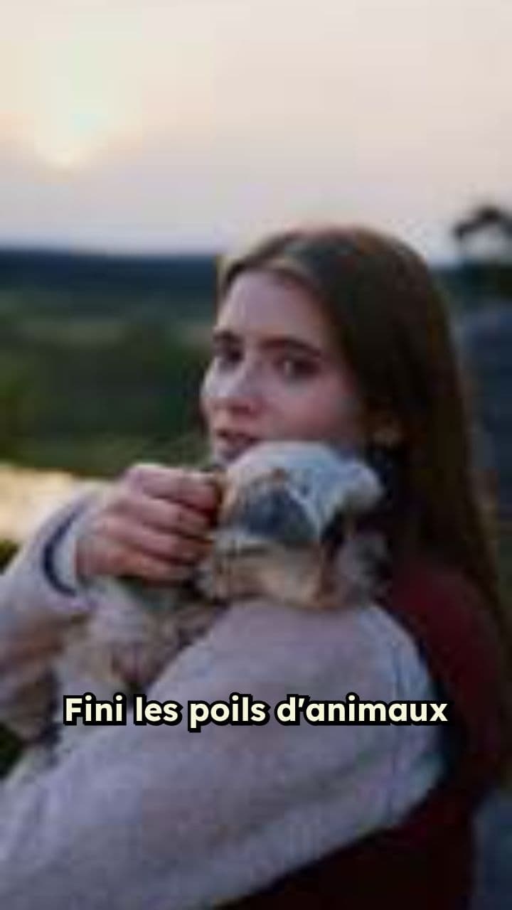 Peigne vapeur anti-poils rechargeable USB