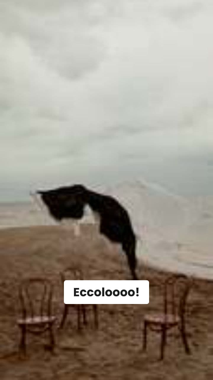 Le Avventure di Granchio-Banana e il Bastone di Spaghetti