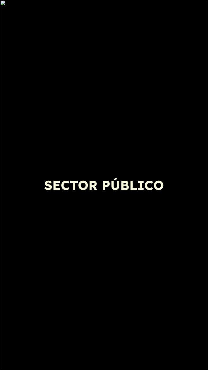Estructura del Sector Público y Tributaria