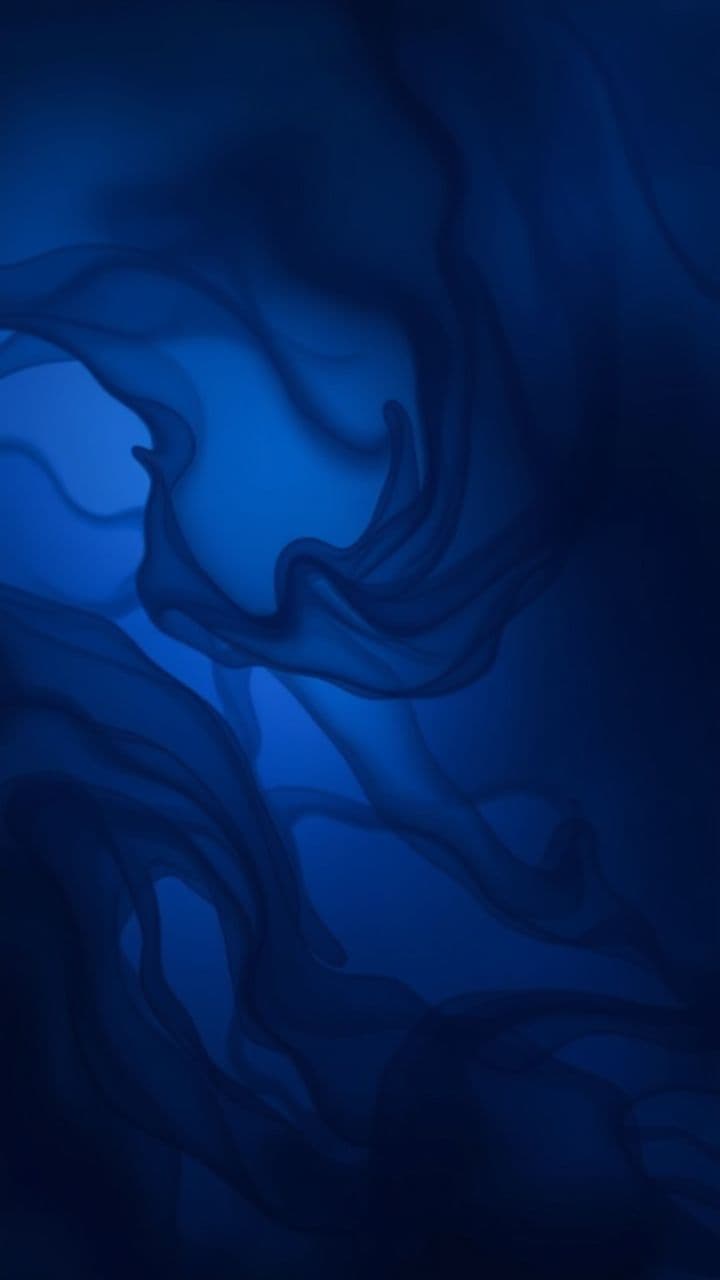 O Amor da Minha Vida