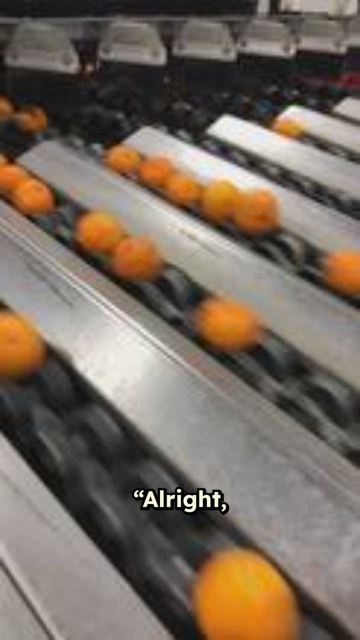 Automated Sorting Machine Gone Wild