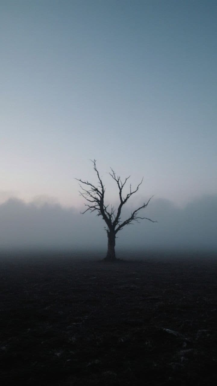 Lost in a Shadowed Mind