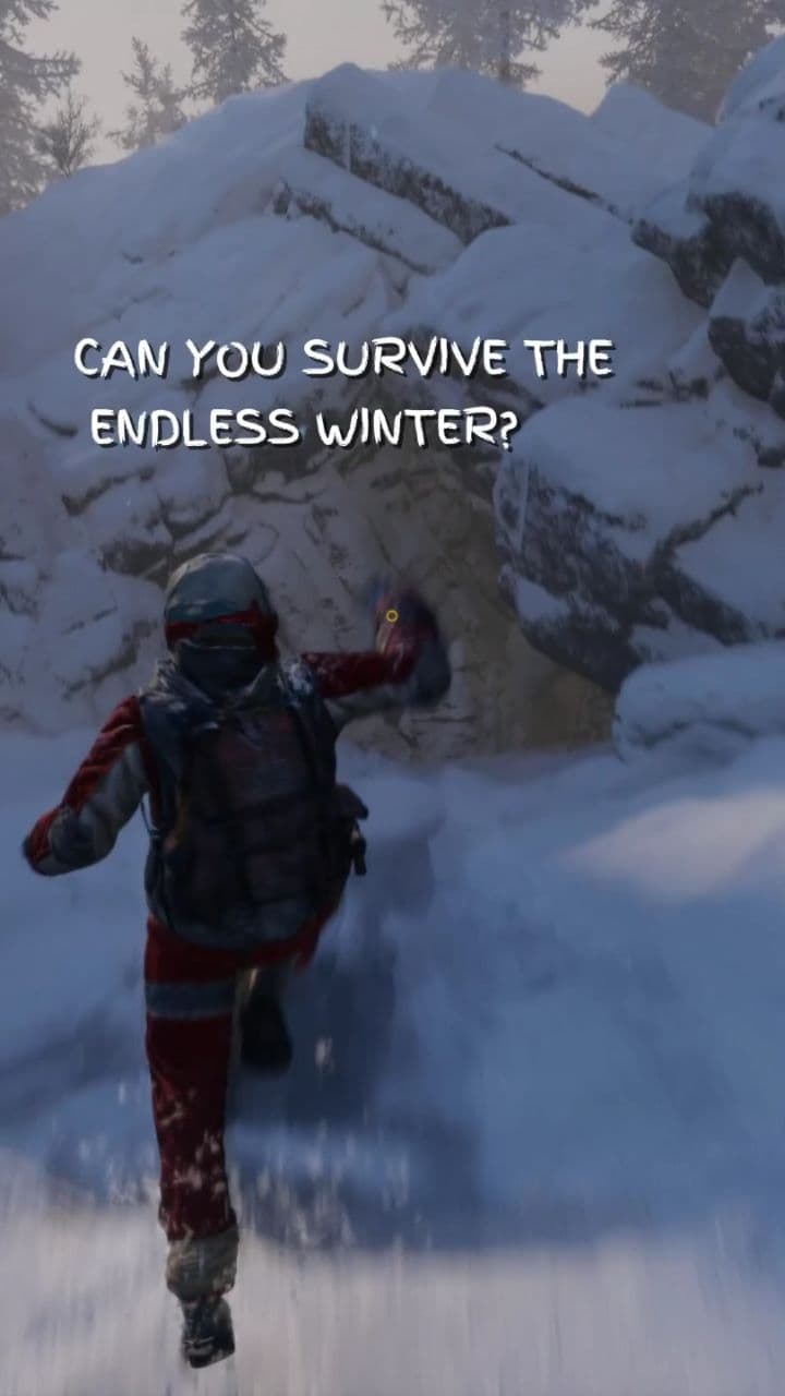 Endless Winter Survival