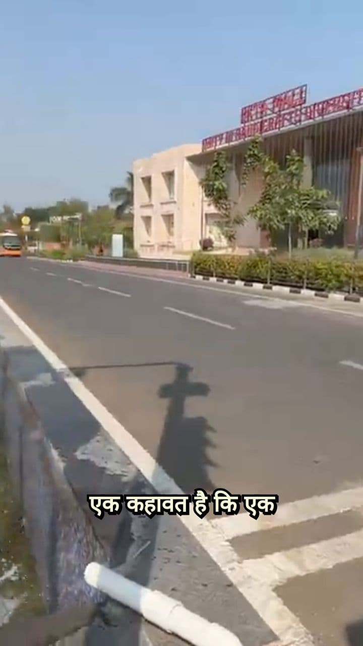 Grow a Dense Forest in Just Two Years!