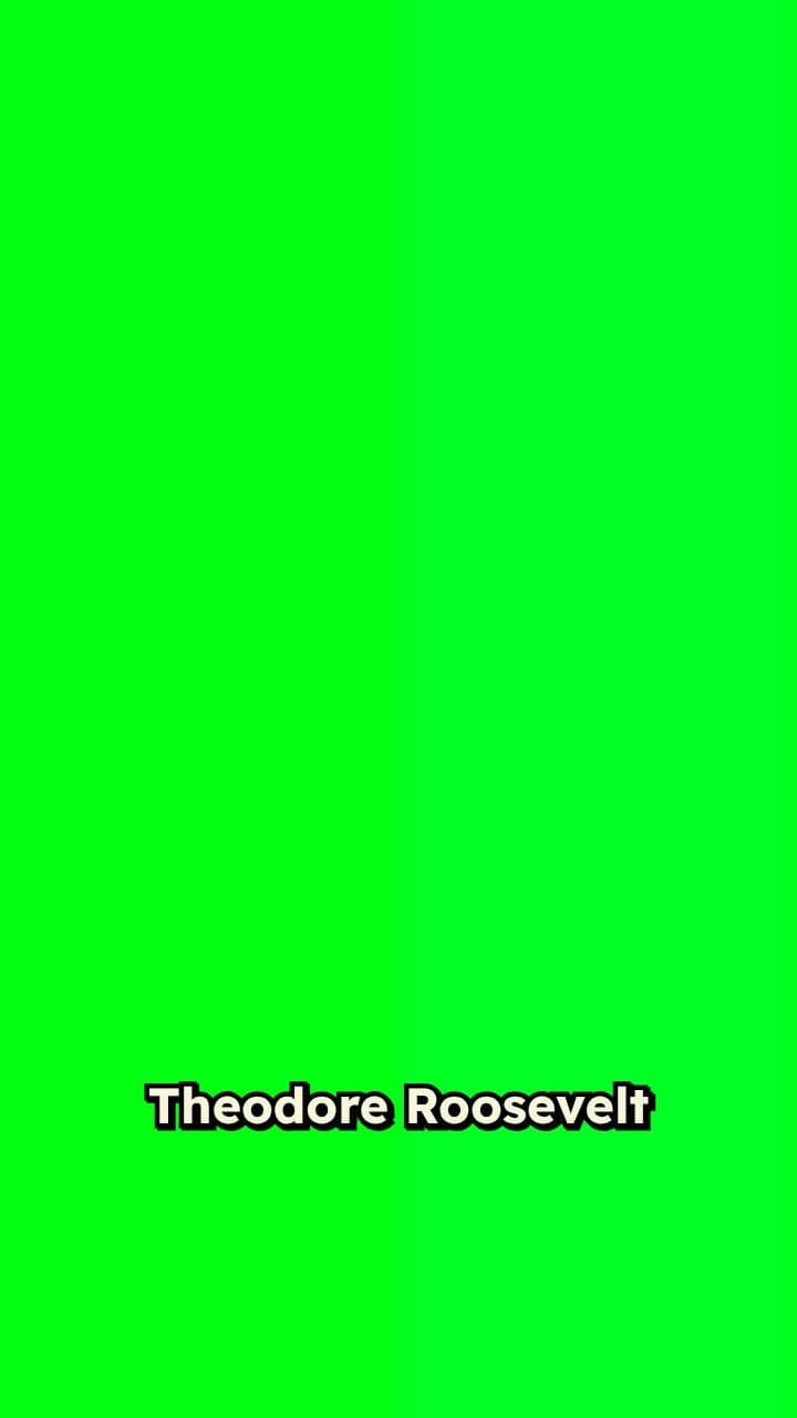 Debating Theodore Roosevelt’s Presidency