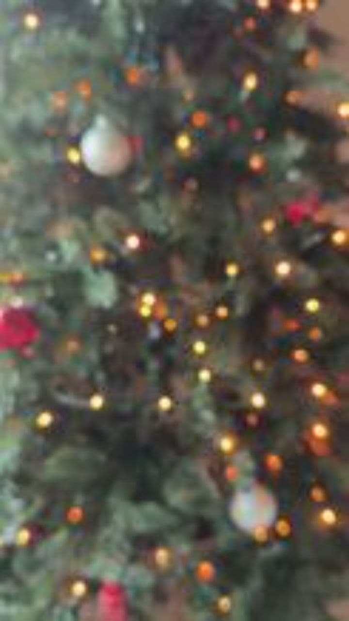 Under the Christmas Lights Tonight