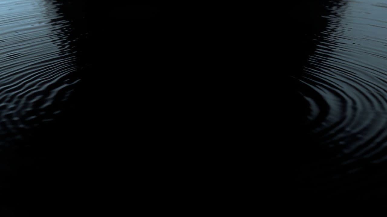 Mind Made Up for Money