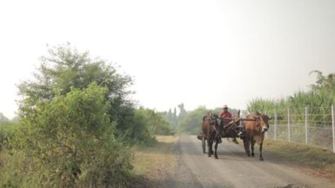 बालाजी वेफर्स: संघर्ष से सफलता