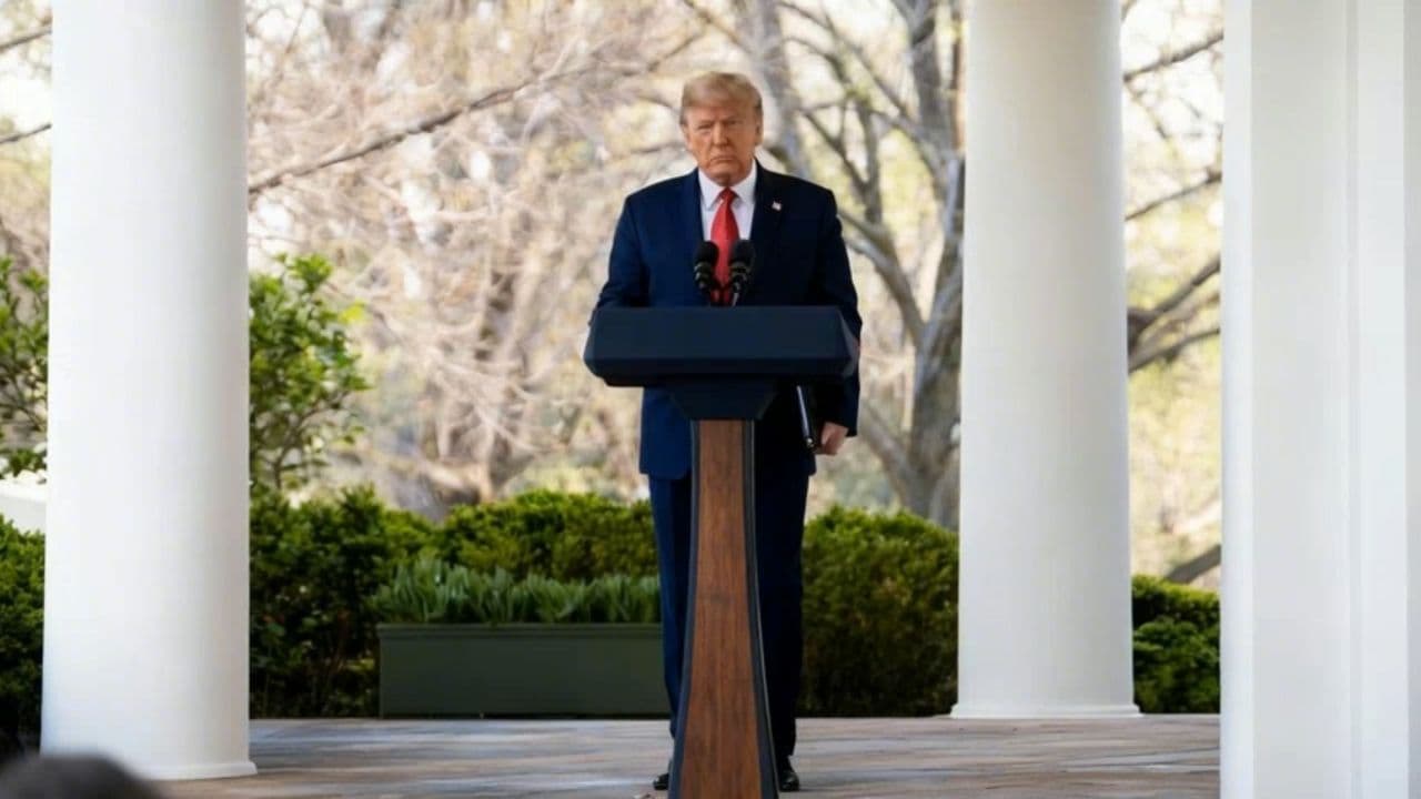 Image transform video