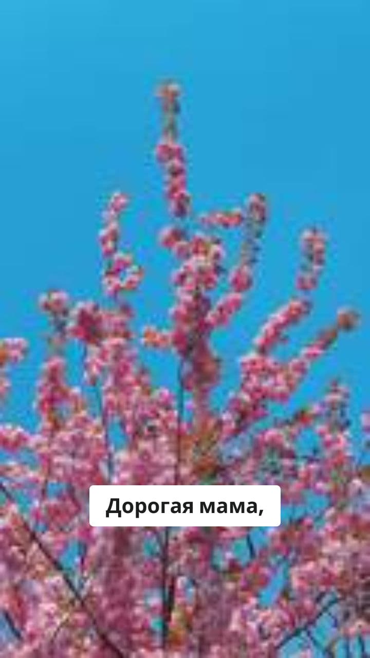 Поздравление с Днём Рождения Маме