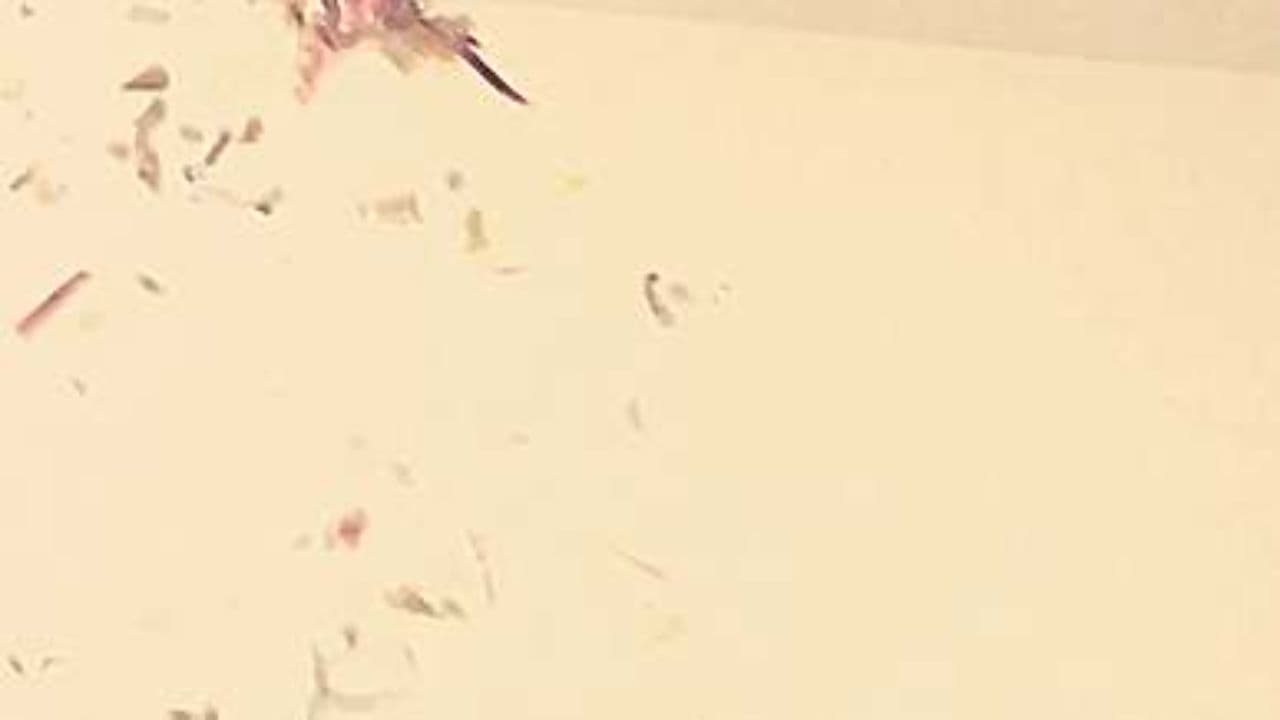 Cheers to Vivi at 75!